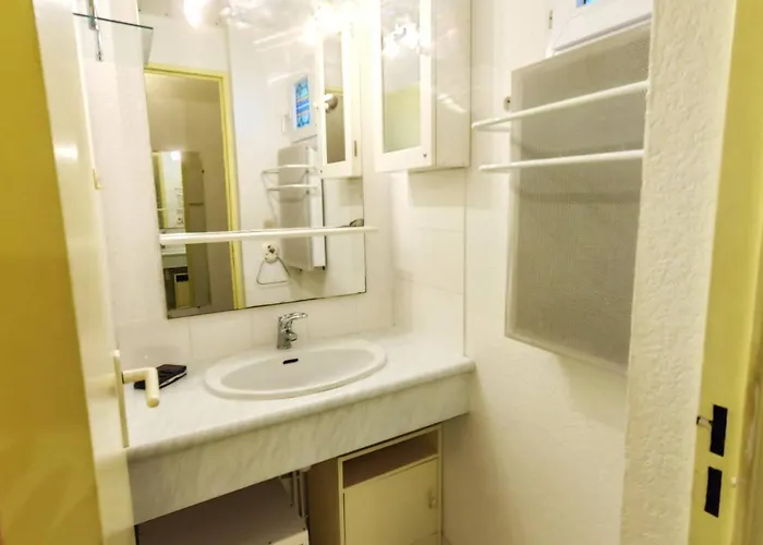 Apartmán T2 Climatise Avec Piscine Et Parking Au Cap D'agde - Fr-1-607-52