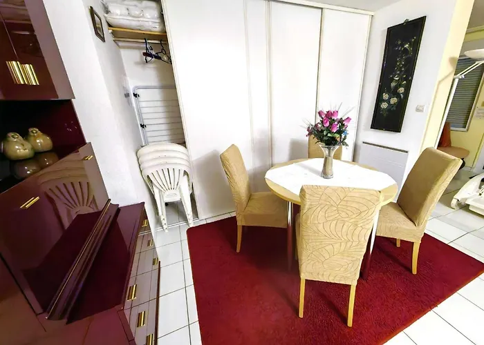 Apartmán T2 Climatise Avec Piscine Et Parking Au Cap D'agde - Fr-1-607-52 Agde